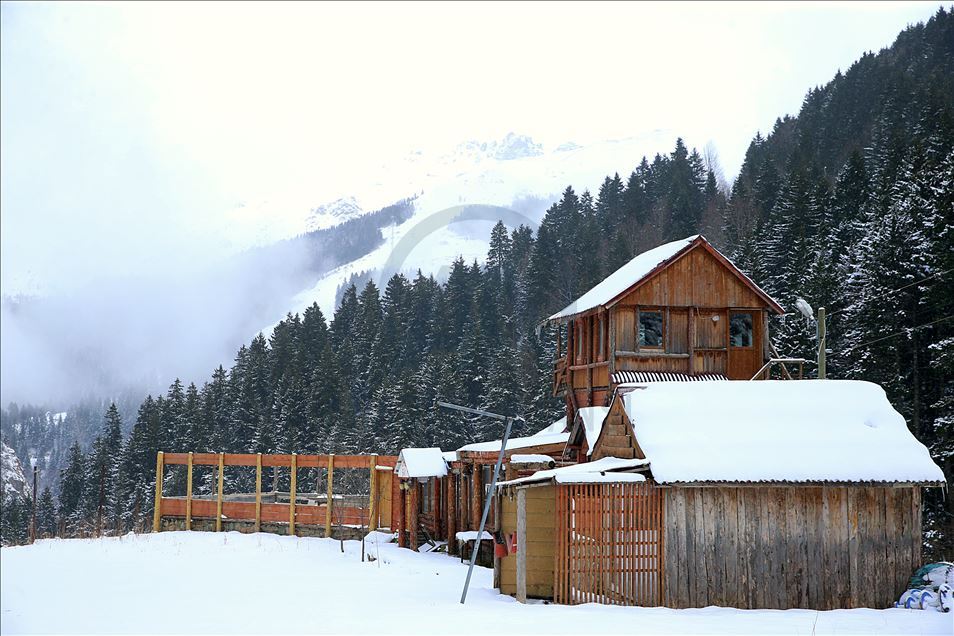 Trabzon'da kar yağışı