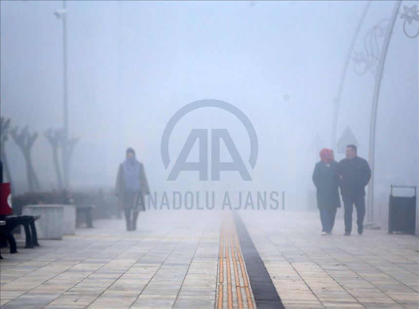 Düzce'de sis nedeniyle görüş mesafesi 30 metreye düştü