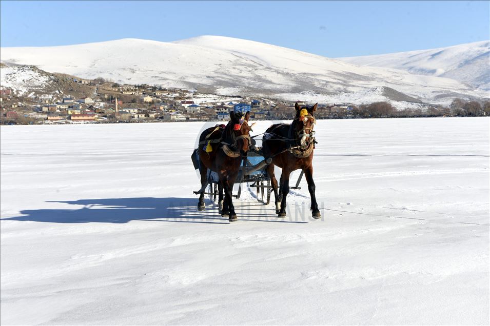 Çıldır Gölünde atlı kızak