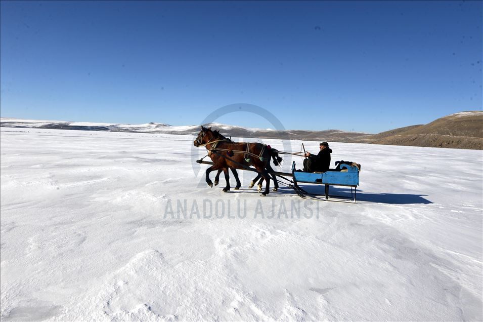 Çıldır Gölünde atlı kızak