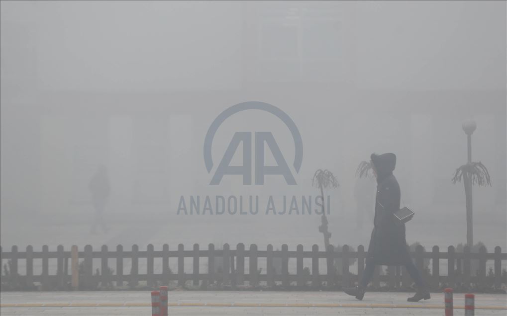 Düzce'de sis nedeniyle görüş mesafesi 30 metreye düştü
