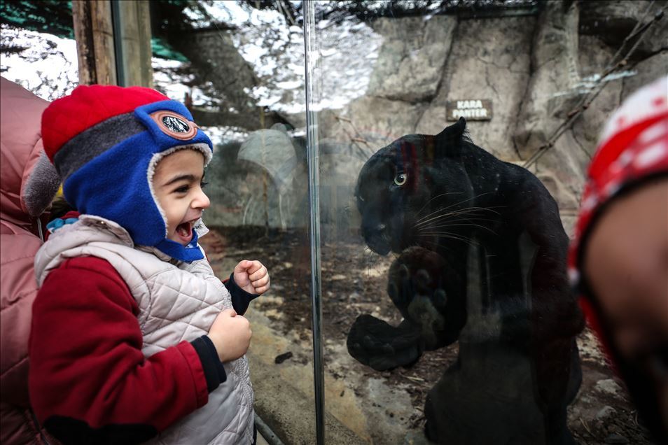 Зоопарк нового поколения в Турции