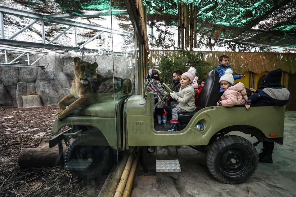 Aslan Park ziyaretçilerini bekliyor