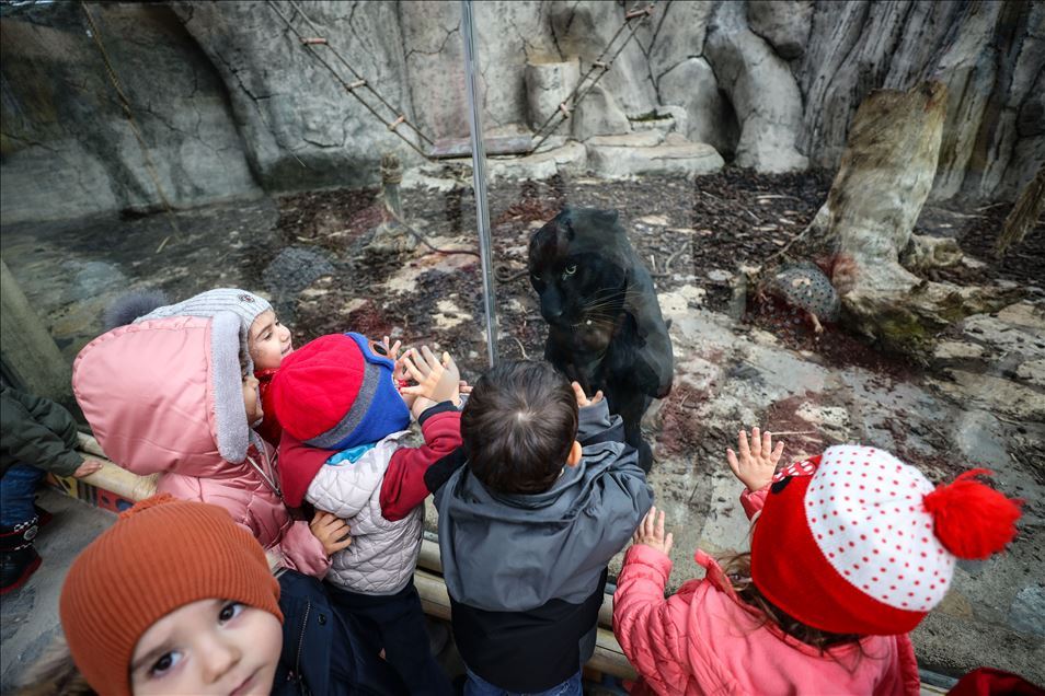 Aslan Park ziyaretçilerini bekliyor