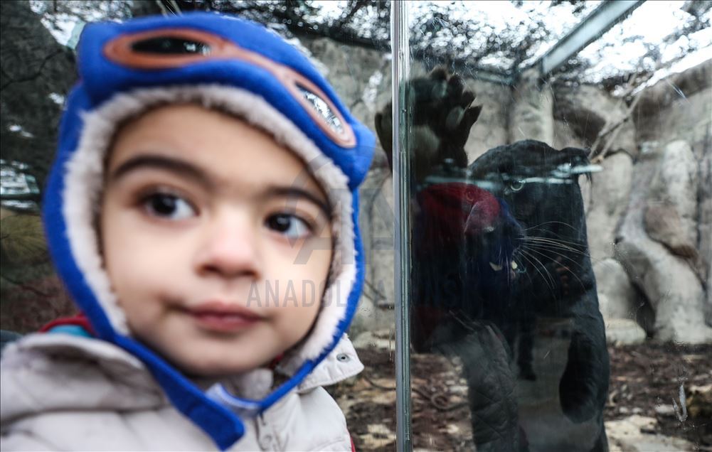 Aslan Park ziyaretçilerini bekliyor