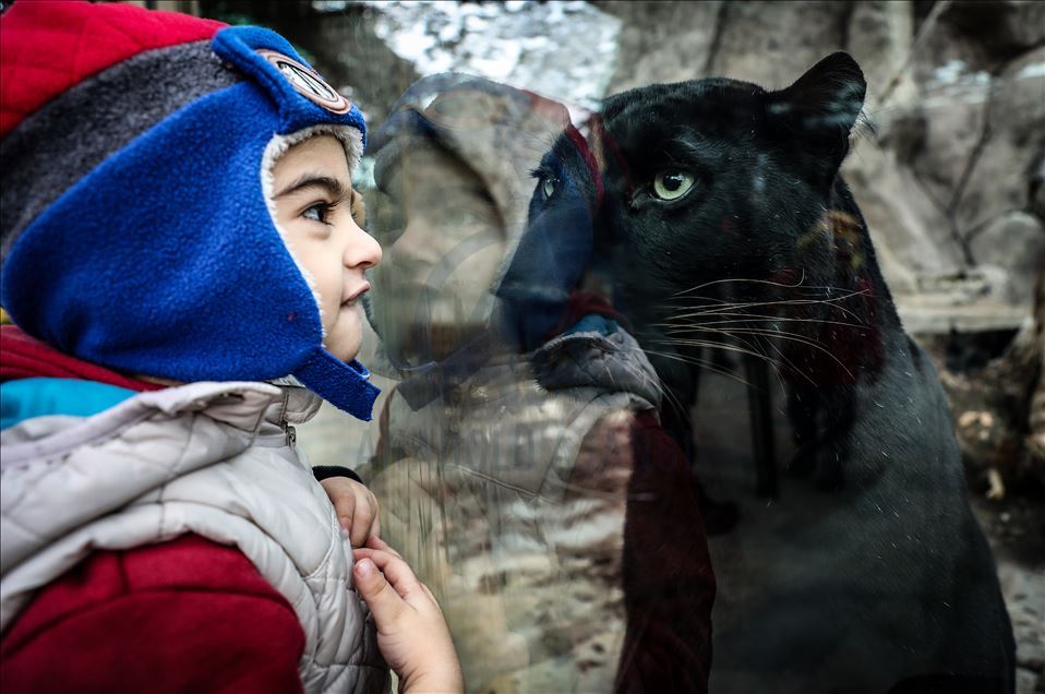 Зоопарк нового поколения в Турции
