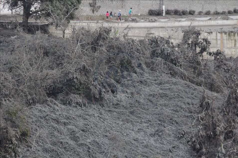 Filipinler'deki yanardağ patlamasının ardından 82 bin kişi tahliye edildi