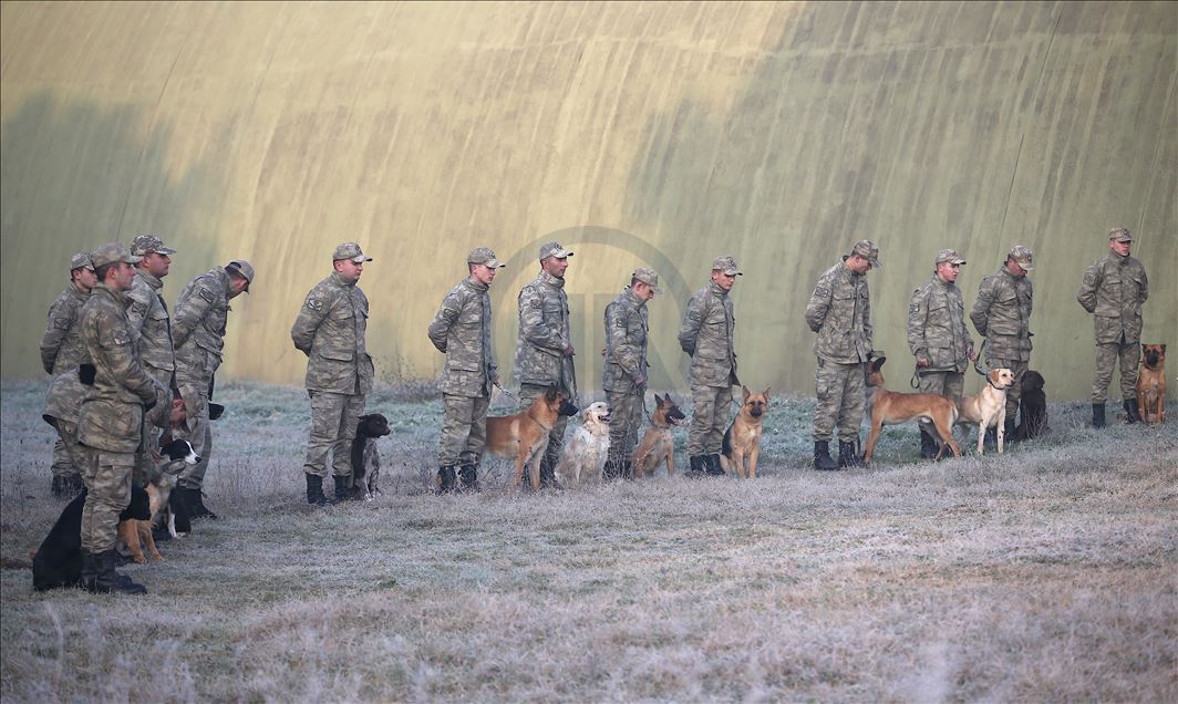 Turkish army trains dogs for military operations