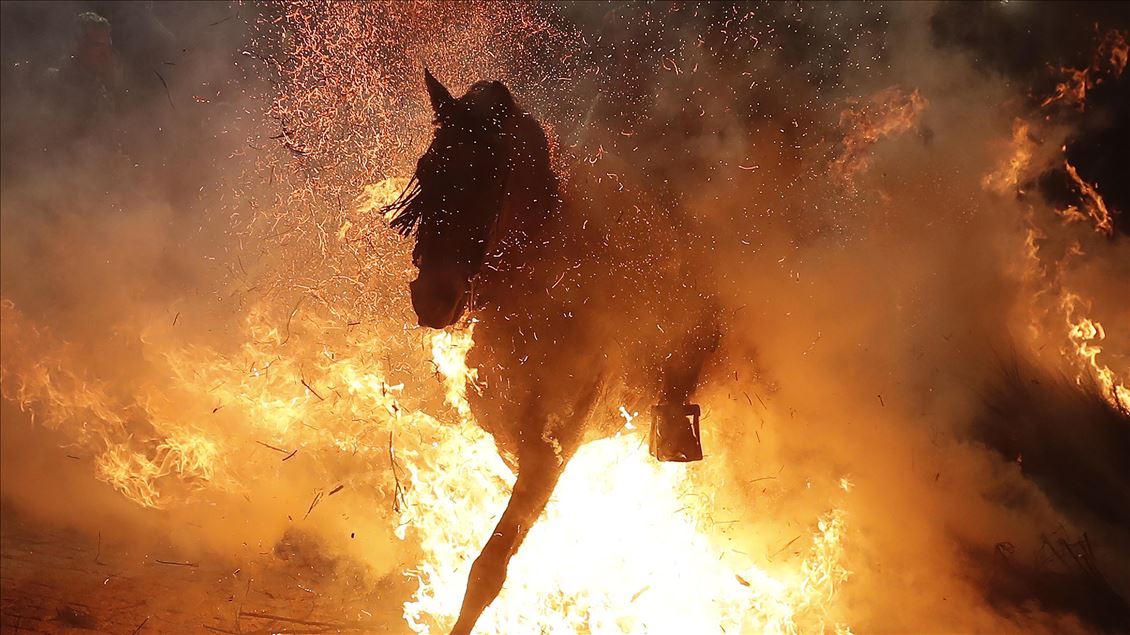 Las Luminarias festival in Madrid