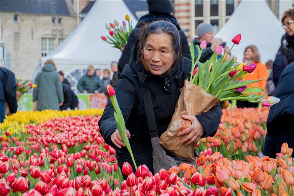 National Tulip Day in the Netherlands