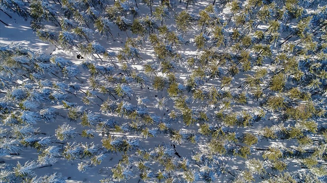Kazdağı Milli Parkı’ndan kuş bakışı kartpostallık "kış" görüntüleri