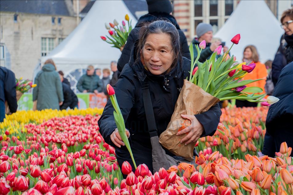 بزرگداشت روز ملی گل لاله در هلند 