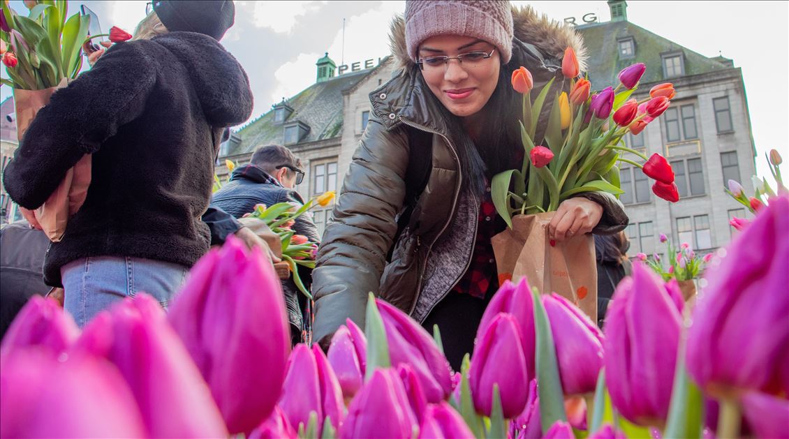 National Tulip Day in the Netherlands