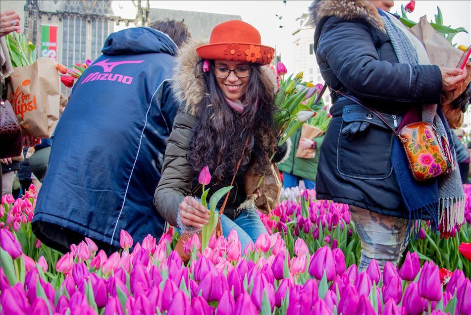 National Tulip Day in the Netherlands