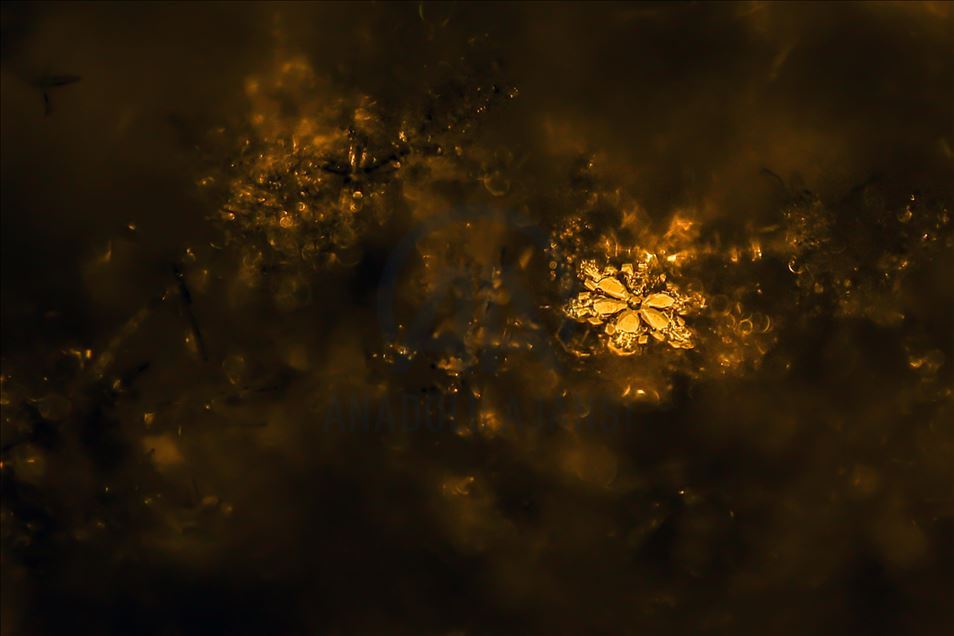 Various structures of snowflakes in Turkey's Van
