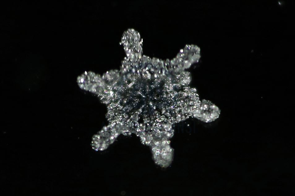 Various structures of snowflakes in Turkey's Van