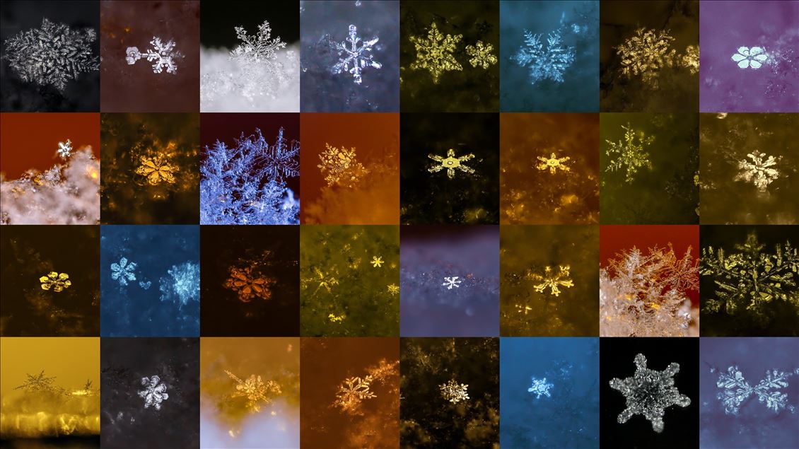 Various structures of snowflakes in Turkey's Van