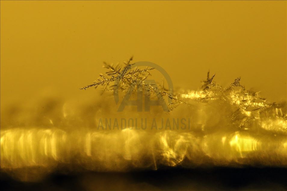 Various structures of snowflakes in Turkey's Van