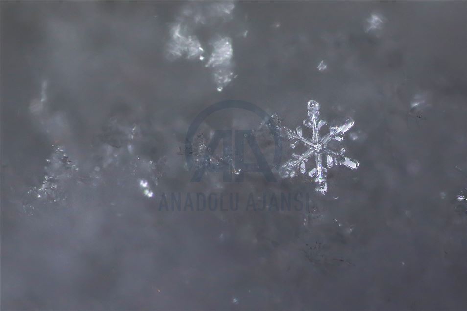 Various structures of snowflakes in Turkey's Van
