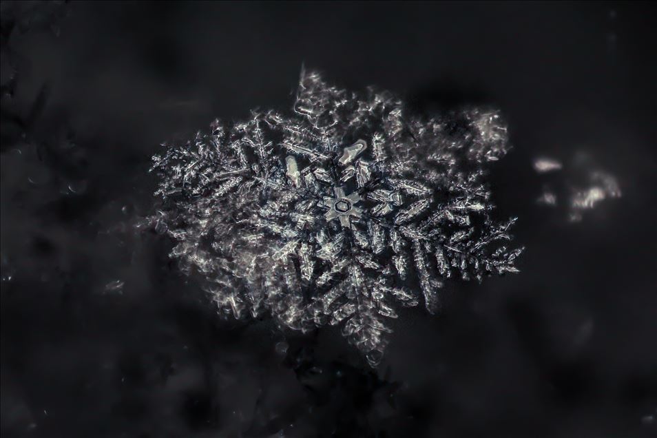 Various structures of snowflakes in Turkey's Van