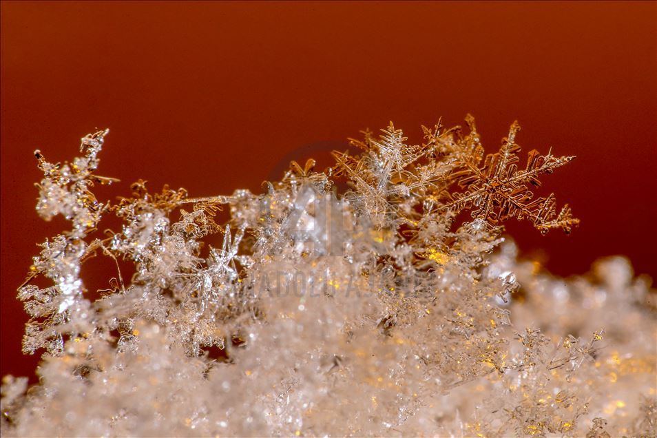 Various structures of snowflakes in Turkey's Van