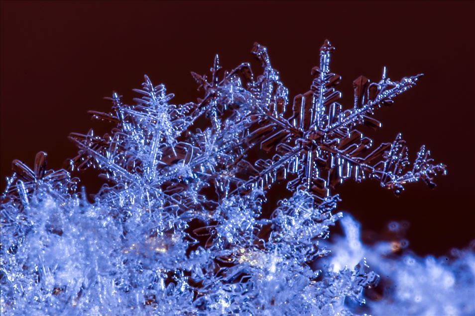 Various structures of snowflakes in Turkey's Van