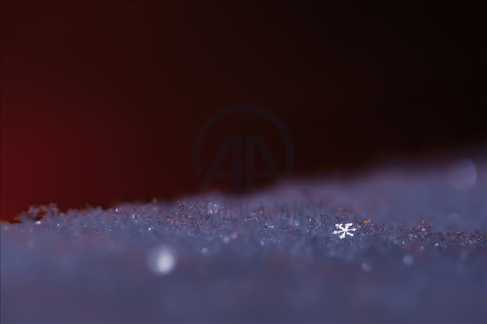 Various structures of snowflakes in Turkey's Van
