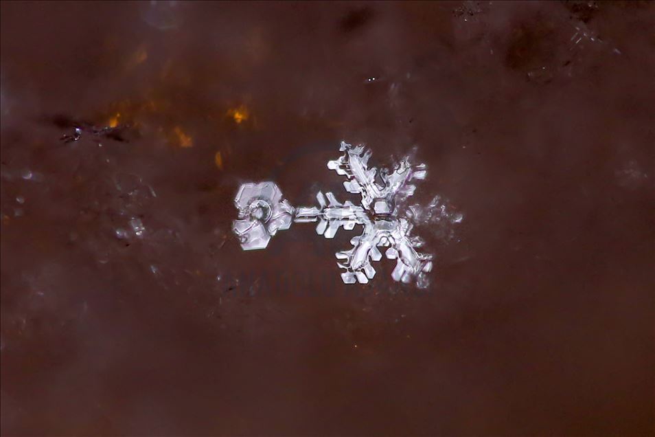 Various structures of snowflakes in Turkey's Van