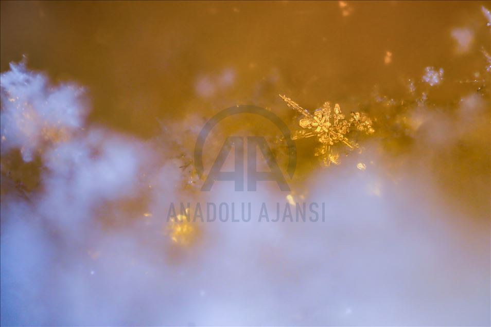 Various structures of snowflakes in Turkey's Van