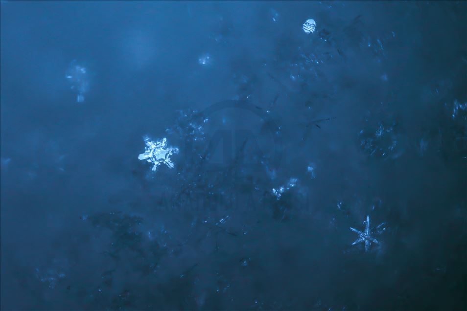 Various structures of snowflakes in Turkey's Van