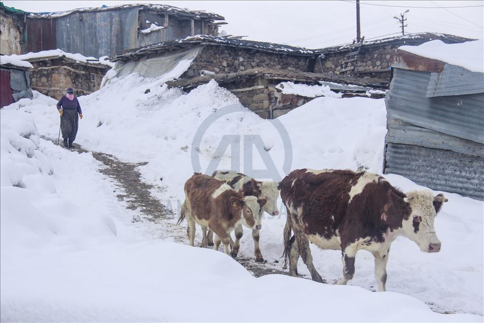 Tunceli'de kış
