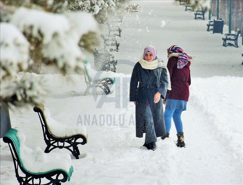 Muş'ta kar yağışı