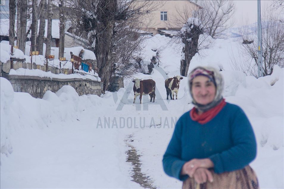 Tunceli'de kış