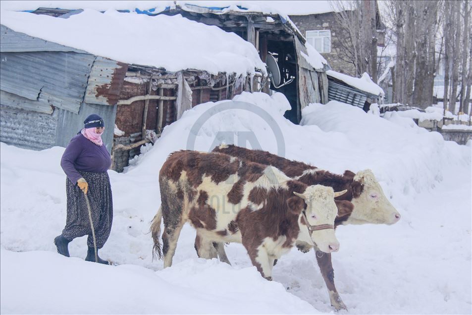 Tunceli'de kış