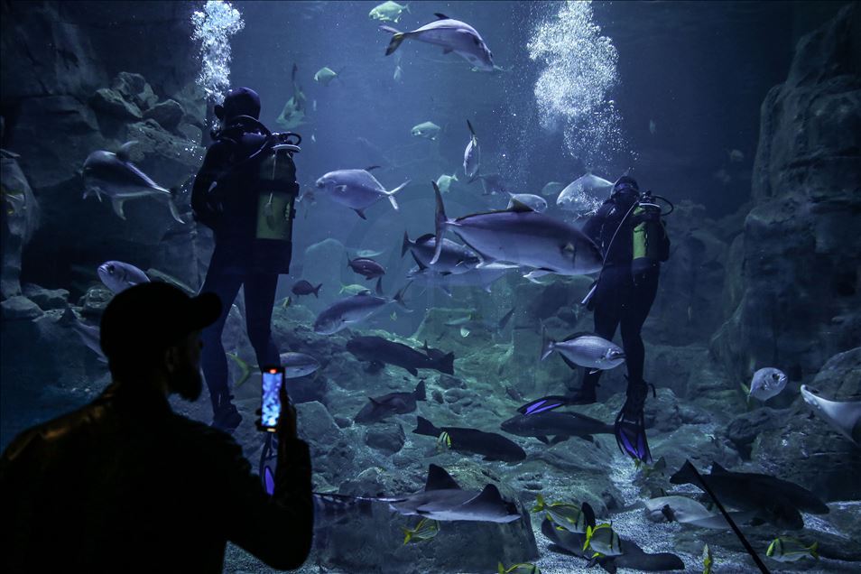 The biggest thematic aquarium in the world in Istanbul