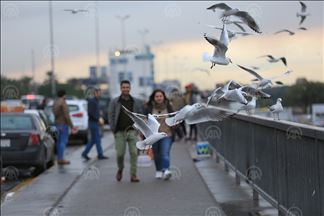 عێراق.. ژیانی ئاسایی رۆژانە لە شاری بەغدا