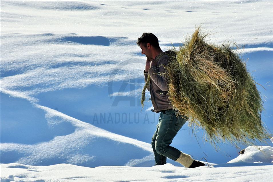 Invierno en Mus de Turquía