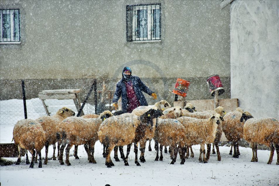 Invierno en Mus de Turquía