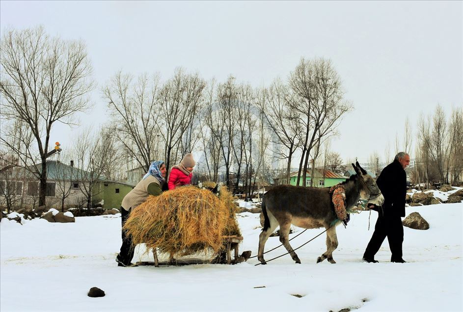 Invierno en Mus de Turquía