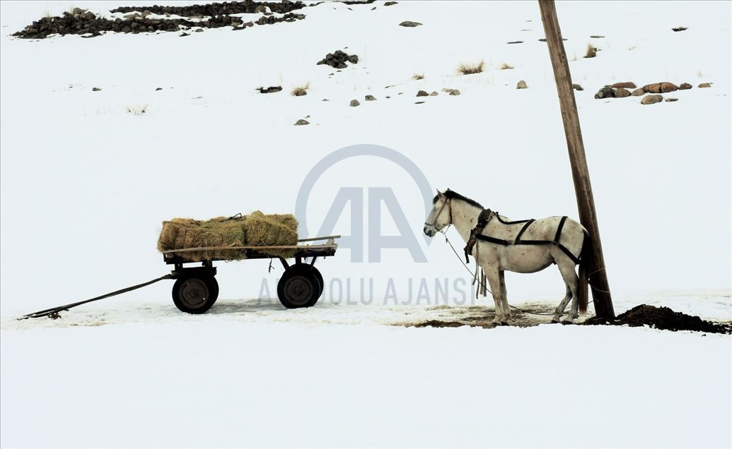 Invierno en Mus de Turquía