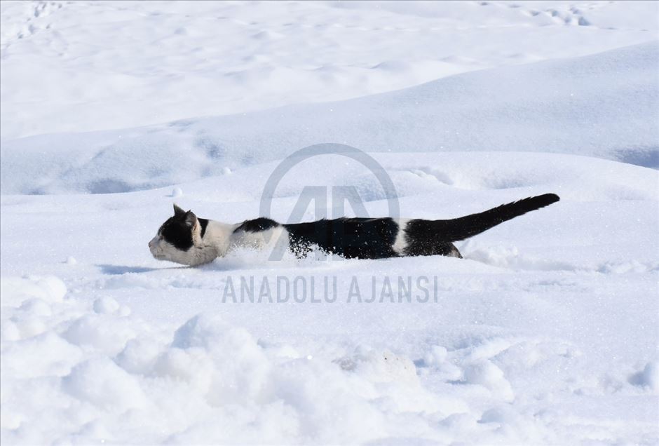 Invierno en Mus de Turquía