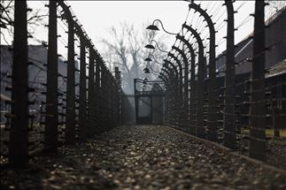 75º aniversario de la liberación de Auschwitz