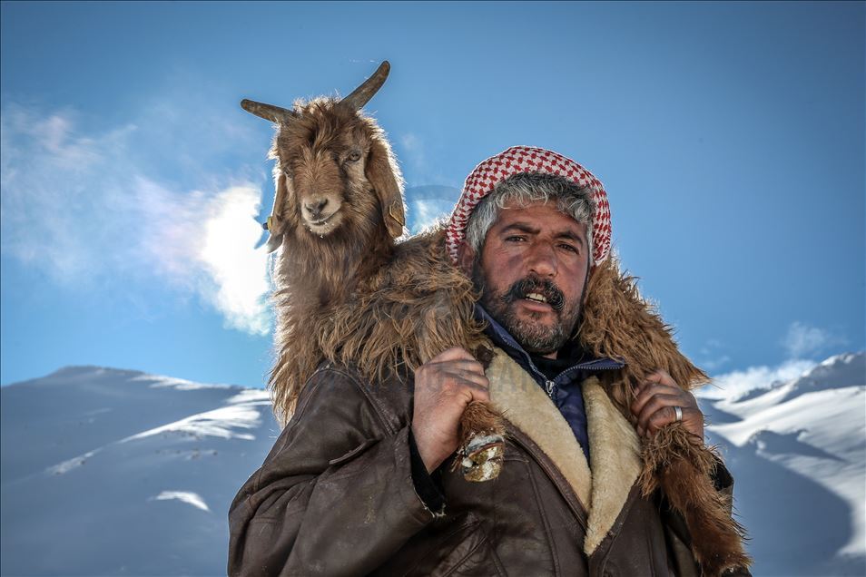 وان.. سەختی ژیانی شوانکاران لە زستان