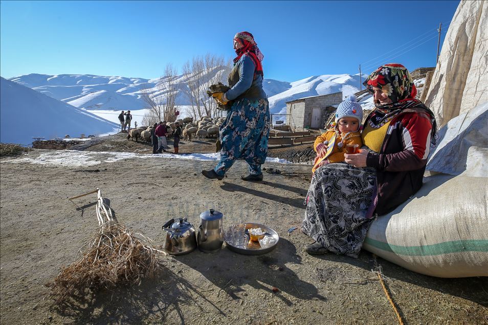 وان.. سەختی ژیانی شوانکاران لە زستان