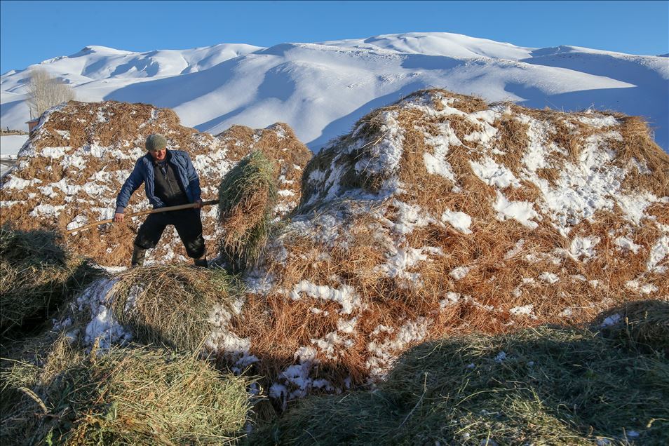 وان.. سەختی ژیانی شوانکاران لە زستان