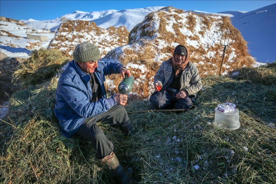 وان.. سەختی ژیانی شوانکاران لە زستان