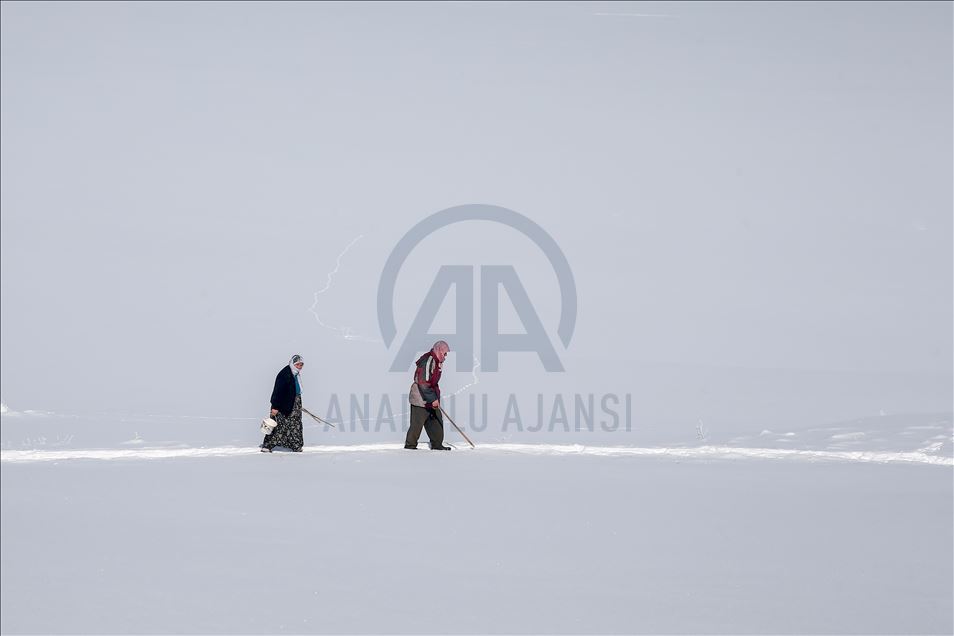 وان.. سەختی ژیانی شوانکاران لە زستان