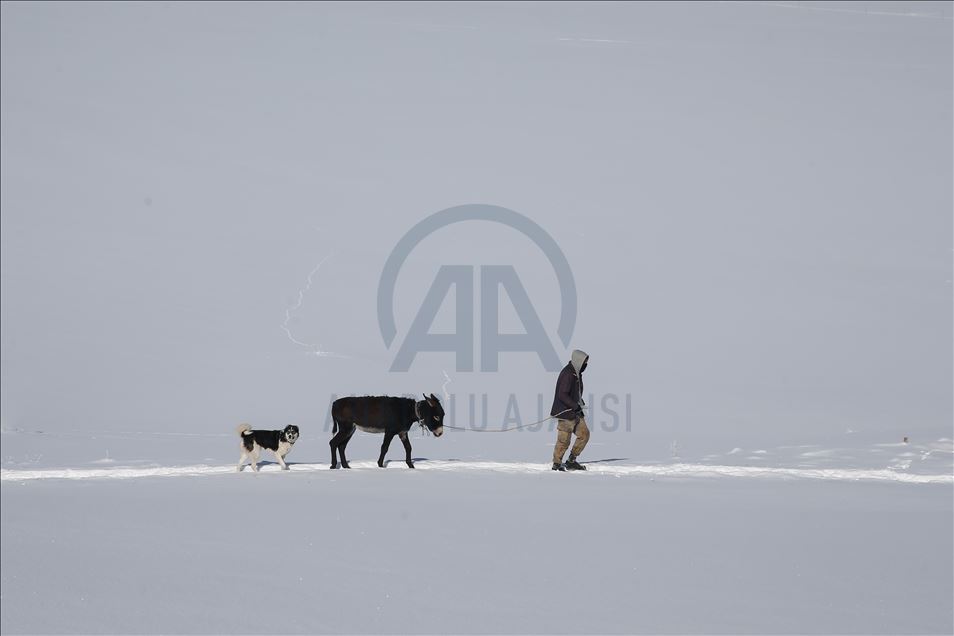 وان.. سەختی ژیانی شوانکاران لە زستان