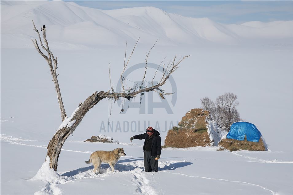 وان.. سەختی ژیانی شوانکاران لە زستان