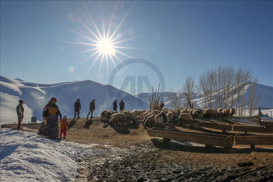 وان.. سەختی ژیانی شوانکاران لە زستان